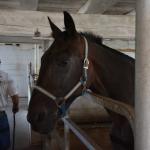 2017OTRA-1_417 (August 24, 2017)